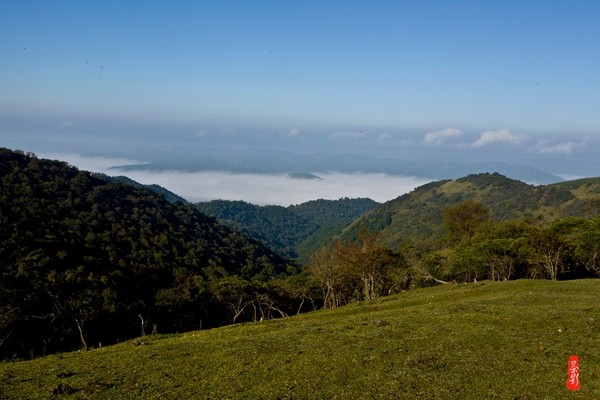 太阳集团tyc_云顶之弈S3大曝光:核心机制星系即将来临(图3) 太阳成官网