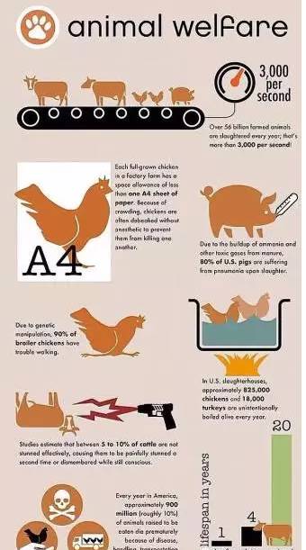 ‘太阳集团tyc’绝地求生3月9日测试服更新内容介绍 BUG修复新增表情系统(图2) 太阳成集团tyc