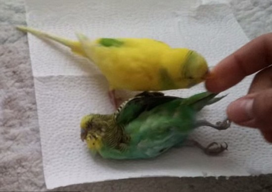 太阳集团tyc_2020年女性整形流行趋势竟是这样(图3) 太阳成官网