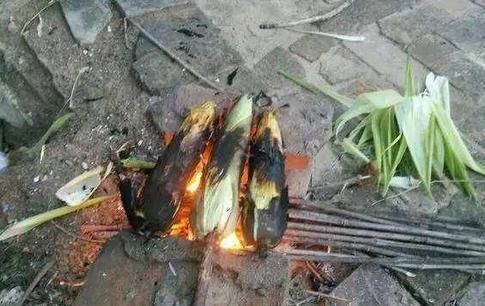 LOL青蛙平行四边形对线是什么意思 青蛙平行四边形对线有什么用_太阳成官网(图3) 太阳成集团tyc