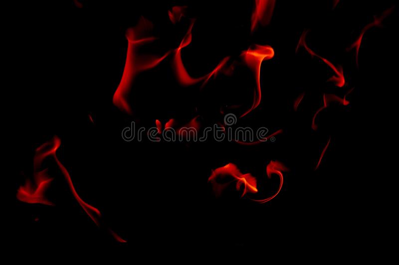 传统家具专委会年会在广东台山召开_太阳成集团tyc(图2) 太阳集团tyc