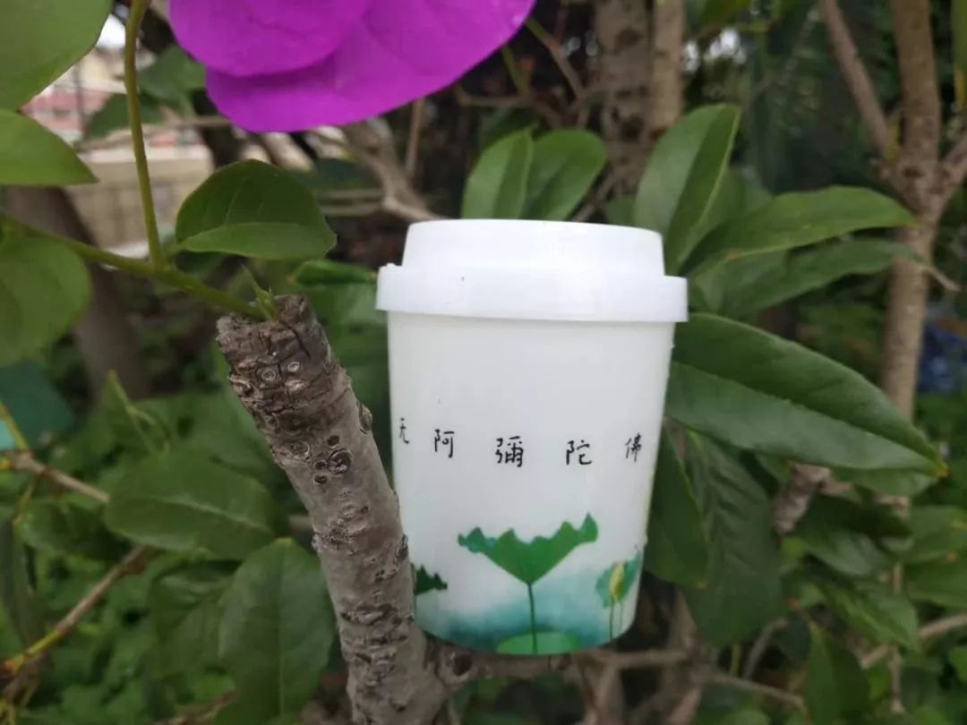 “太阳集团tyc”2019年广州双眼部修复价格及医院口碑分析(图2) 太阳成官网