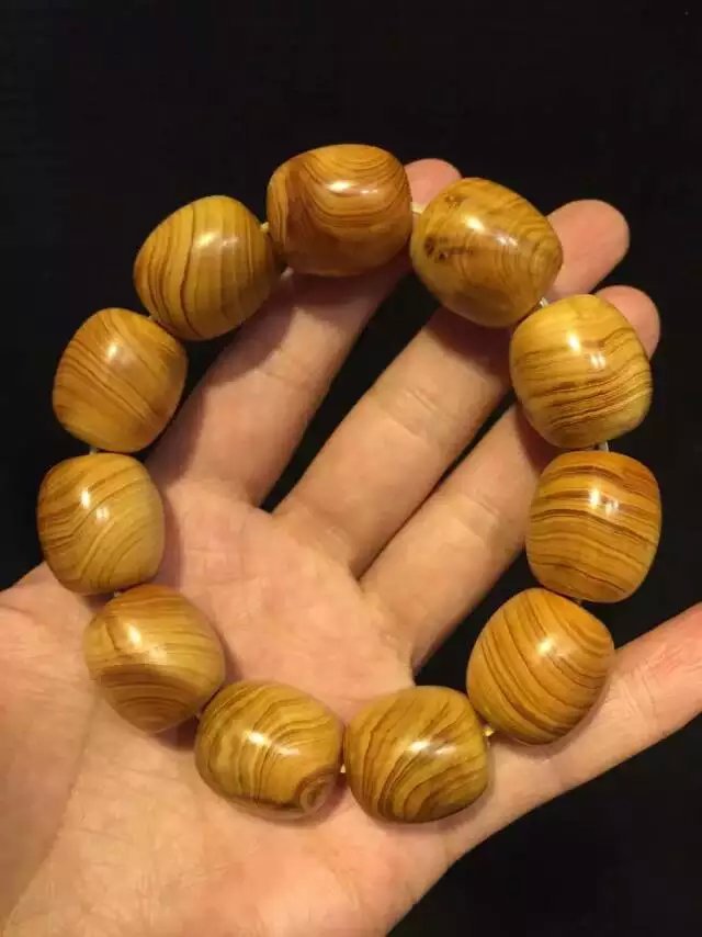 太阳成集团tyc:全国46家医美机构CEO赴雅美‘取经’(图4) 太阳集团tyc