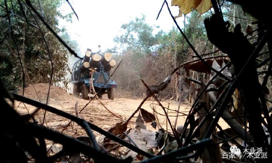 “梨花体诗人”赵丽华 大胆直播整容过程“太阳集团tyc”(图1) 太阳成集团tyc