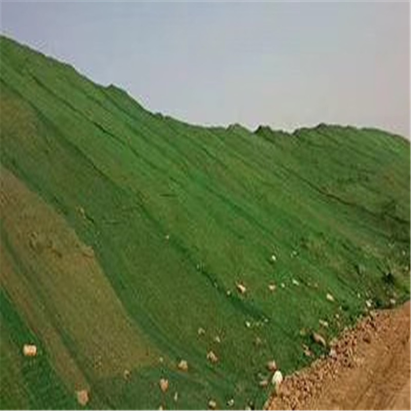 太阳成官网|EDG赛后群访 Scout:选奇亚娜是因为我自信(图1) 太阳成集团tyc