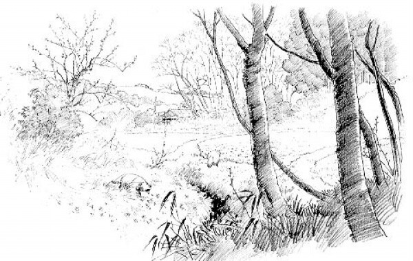 魔兽世界团队副本开放时间表 “安托鲁斯 燃烧王座”本周开放:太阳集团tyc(图3) 太阳成集团tyc