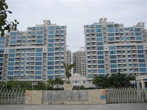 全国人造板市场周评(2015年1月5日-9日)“太阳成官网”(图2) 太阳集团tyc