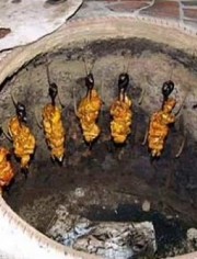 太阳成官网:沙比利走俏价格上涨,白栓依旧毫无亮点(图1) 太阳成集团tyc