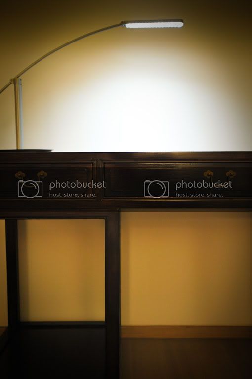 黑木相思价格逆市上涨-太阳成集团tyc(图2) 太阳成集团tyc