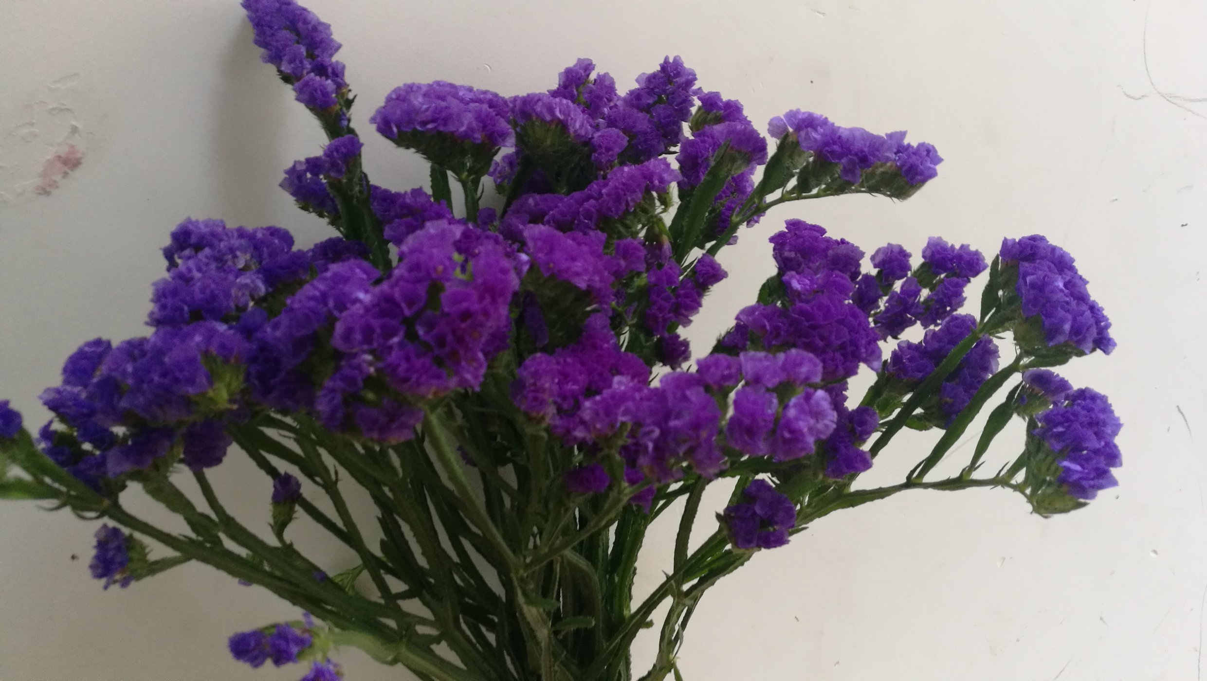 2018年度十大网络用语来了!你一定也说过不少‘太阳集团tyc’(图1) 太阳成集团tyc