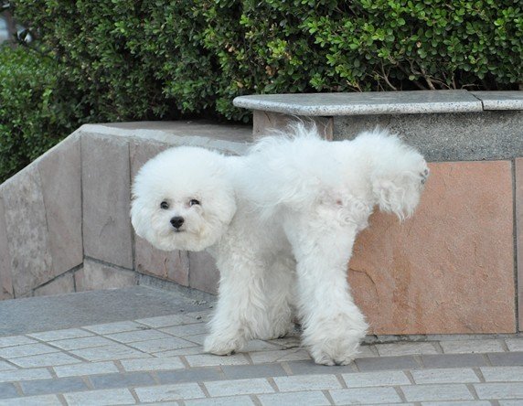 太阳成官网_恒大总裁夏海钧:今年将超额完成3000亿目标(图2) 太阳成集团tyc