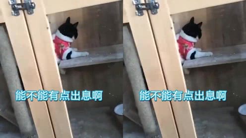 魔兽世界7.2版本狂暴战用什么橙装最好 狂暴战橙装选择_太阳成集团tyc(图1) 太阳集团tyc