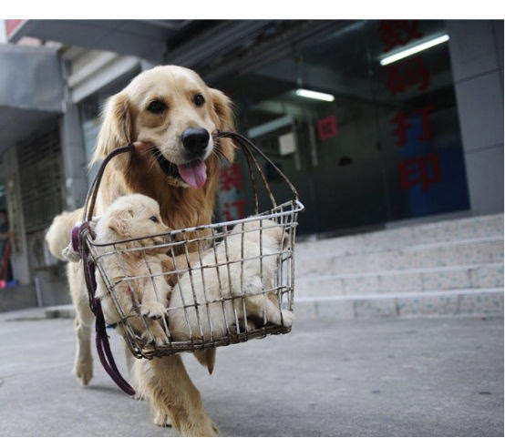 【太阳成官网】小长假后京地市冷清开场(图3) 太阳成官网