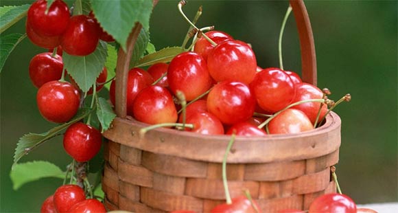 太阳成官网-广州细颗粒物平均浓度连续两年达标(图3) 太阳成官网