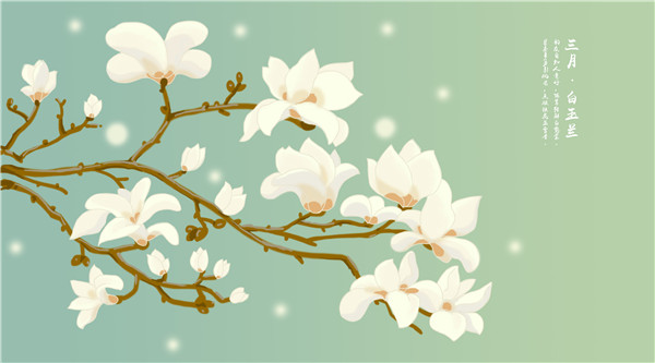 万达电影78亿出让12.77%股份 阿里巴巴成为二股东“太阳成集团tyc”(图4) 太阳成集团tyc