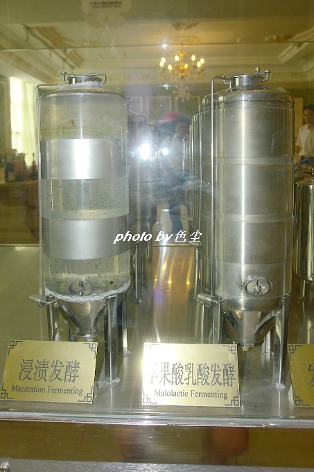 太阳成官网_AcFun文旻公布“2020计划”:打造20位百万UP主(图1) 太阳成官网