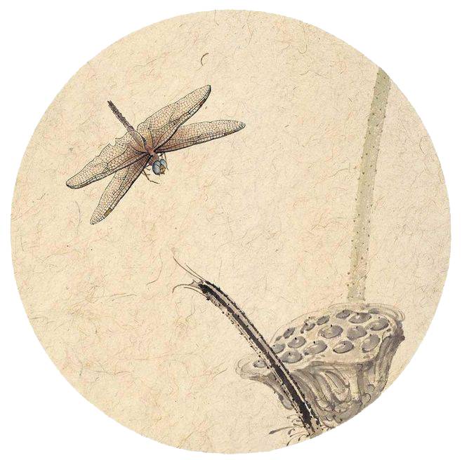 lol7.19版本香炉将被重做 卢锡安飞机走下神坛-太阳集团tyc(图3) 太阳成官网