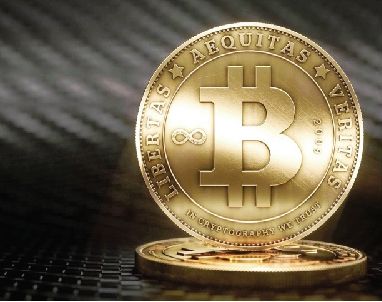 太阳集团tyc:莫桑比克木材价格底部运行(图4) 太阳成集团tyc