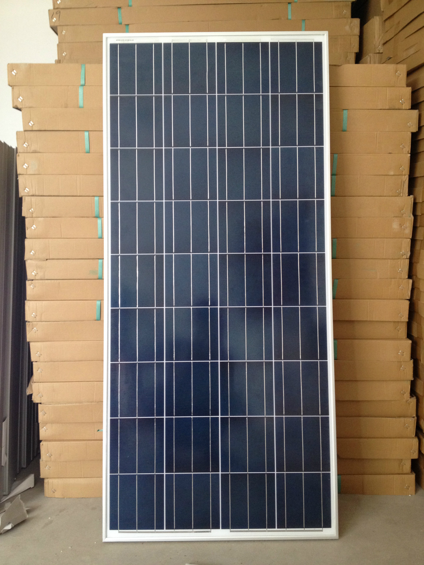 林业外来有害物种造成年直接损失560多亿元‘太阳集团tyc’(图4) 太阳集团tyc