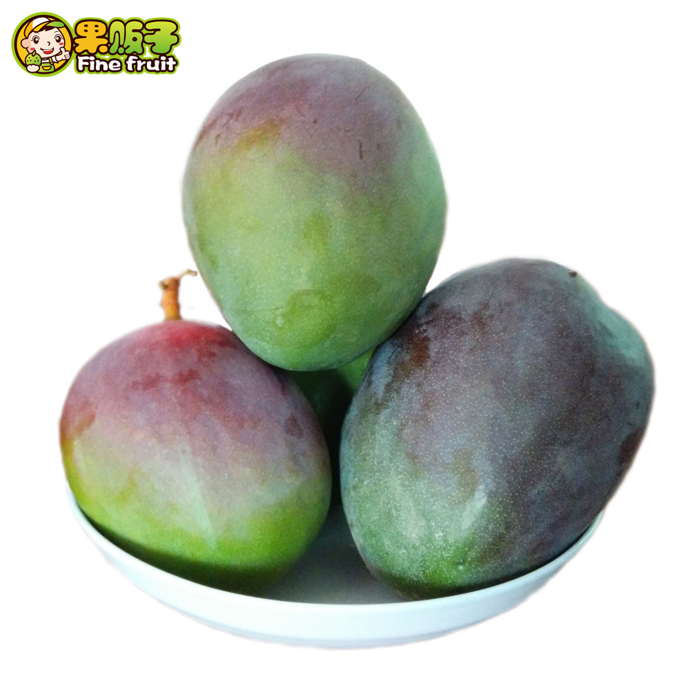 奥巴马:美国经济正开始渡过难关|太阳集团tyc(图2) 太阳成官网