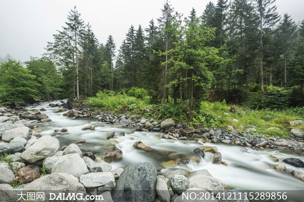 太阳成集团tyc:DOTA2 TI9斗鱼签约战队 PSG.LGD顺利晋级总决赛(图1) 太阳成集团tyc