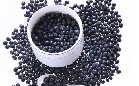 出国学什么专业的同学最容易忏悔?出国前你一定要看看:太阳集团tyc(图1) 太阳集团tyc