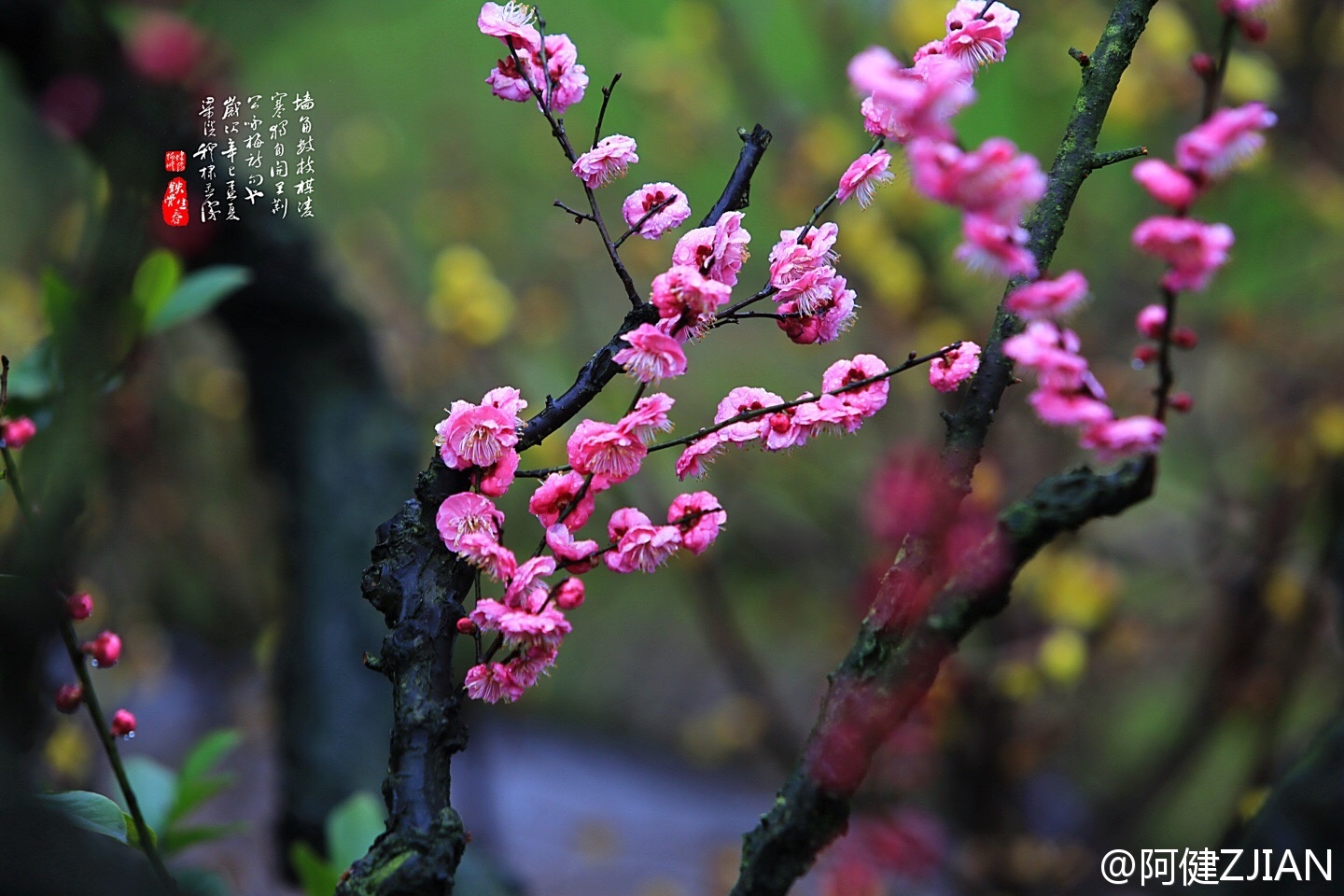 中国电建:为中电建商业资产证券提供差额补足-太阳集团tyc(图4) 太阳成官网