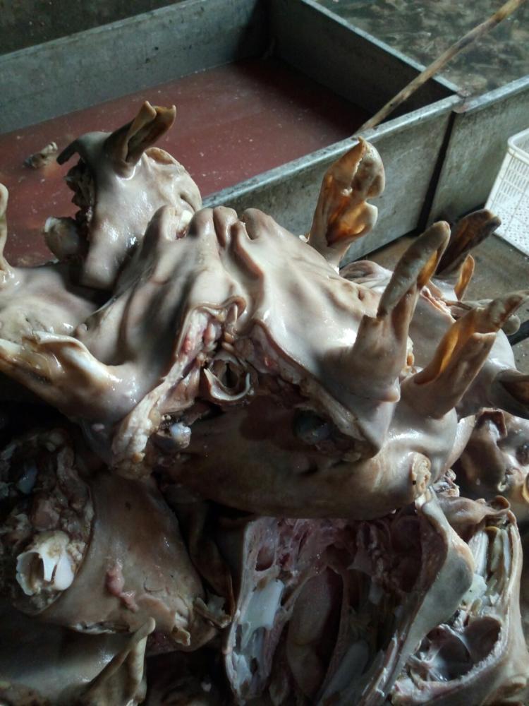 ‘太阳成官网’格力地产:设立珠海高格医疗科技公司 主要生产口罩等医用物资(图1) 太阳集团tyc