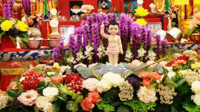 太阳集团tyc_美容仪突然火了!真的是有效果吗?今天就来揭秘美容仪是否管用(图1) 太阳集团tyc