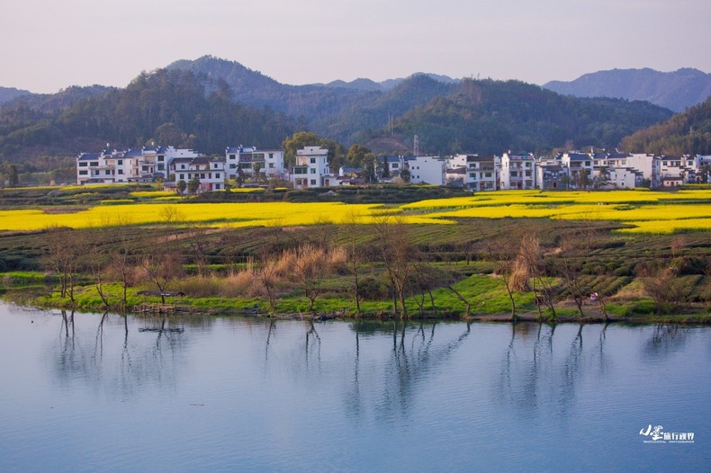 太阳集团tyc:LPL全员觉醒 横扫联合赛区晋级洲际赛决赛(图2) 太阳集团tyc