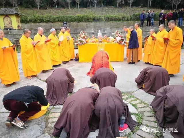 我终于拥有了人生第一只美容仪——orey射频美颜仪【太阳集团tyc】(图1) 太阳集团tyc