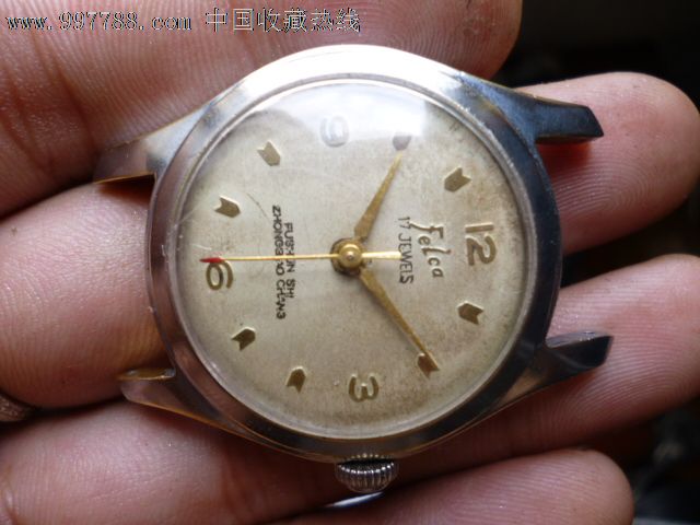 WE三连胜战绩令人欣慰 风哥为爱徒助威-太阳集团tyc(图1) 太阳成集团tyc