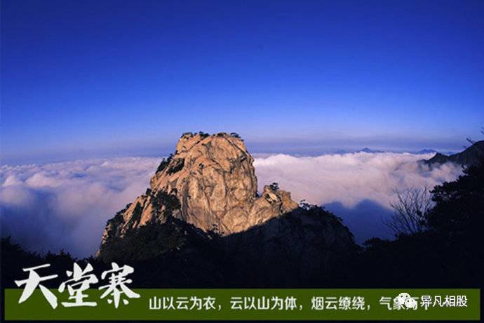 太阳成官网|焦点链家(图2) 太阳成集团tyc