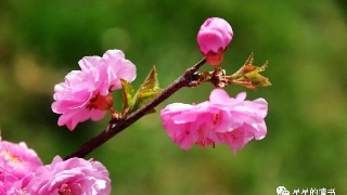 供给侧改革核心问题是产权改革‘太阳成集团tyc’(图3) 太阳成集团tyc