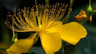 “太阳成集团tyc”2018LOL齐聚春晖集卡活动怎么玩?集卡活动怎么交换卡牌(图3) 太阳集团tyc