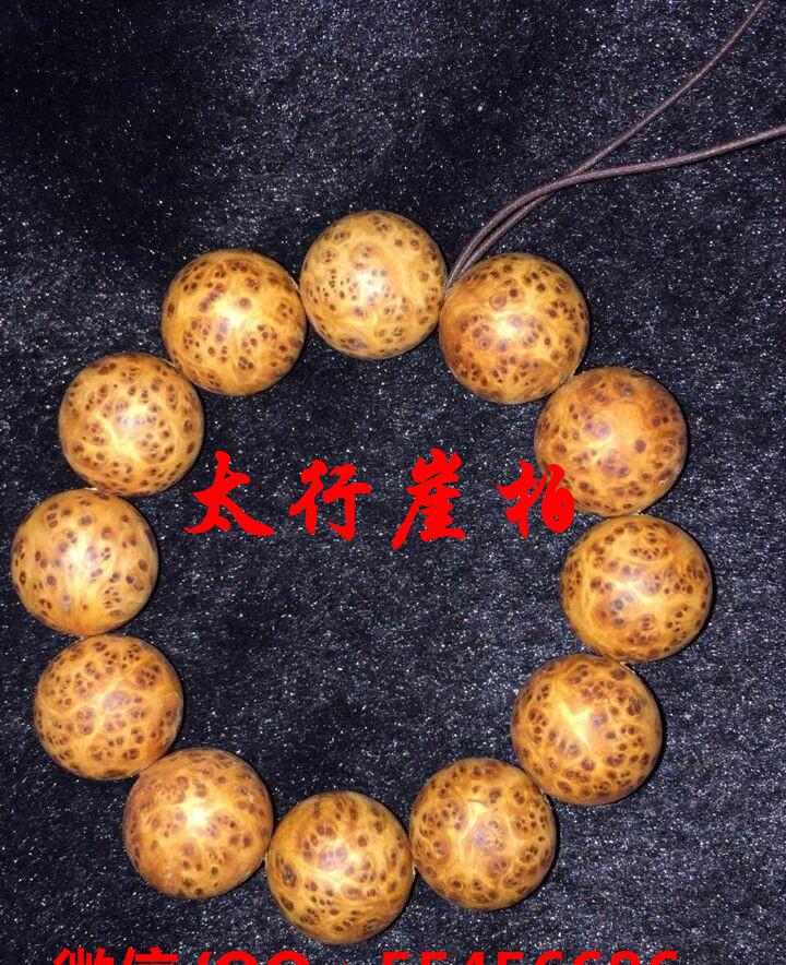 太阳成官网
