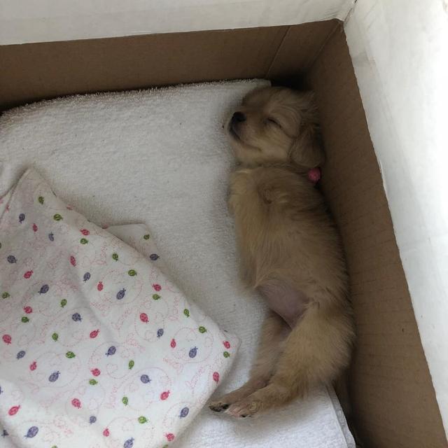 太阳成官网