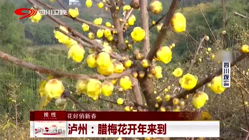 北京共有产权住房贷款首付比例不低于30%‘太阳成集团tyc’(图1) 太阳成官网