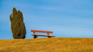 天气日渐凉爽 圣象集团装点秋季装修市场:太阳集团tyc(图1) 太阳成集团tyc